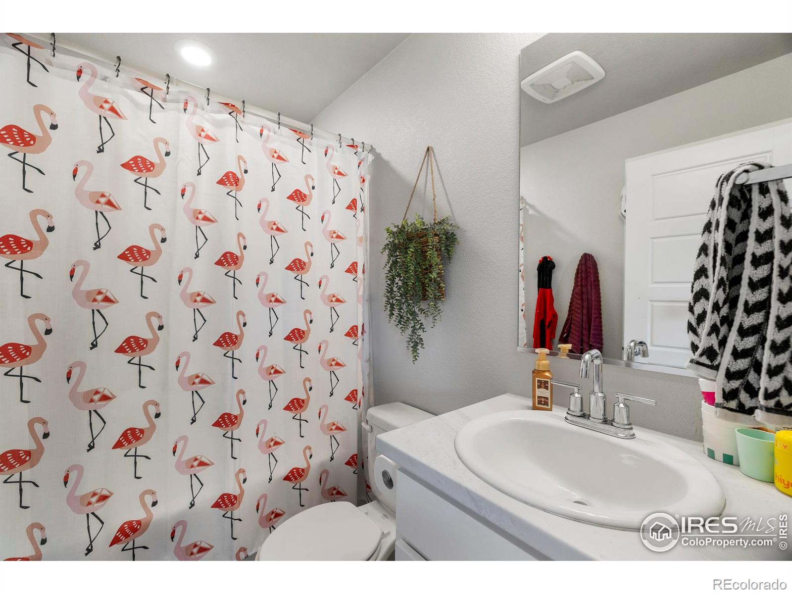 MLS Image #18 for 253  molinar street,johnstown, Colorado