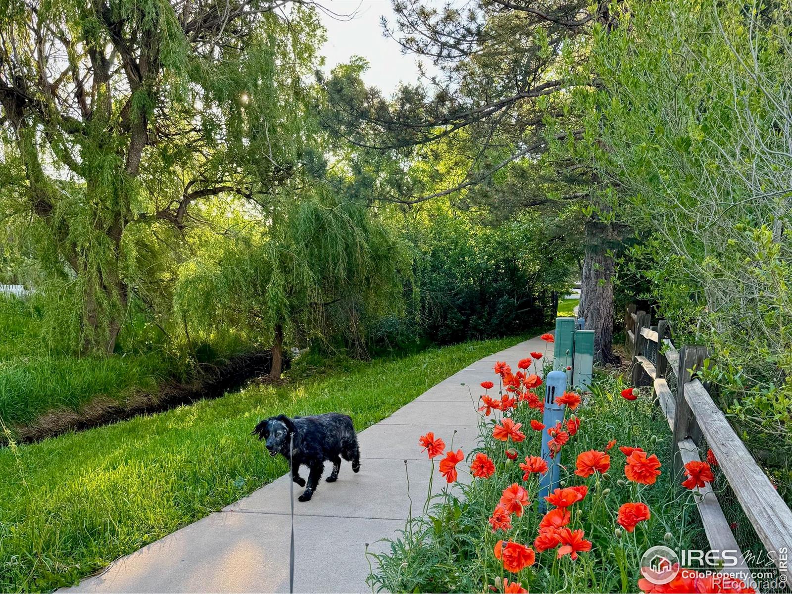 MLS Image #37 for 855 w moorhead circle,boulder, Colorado