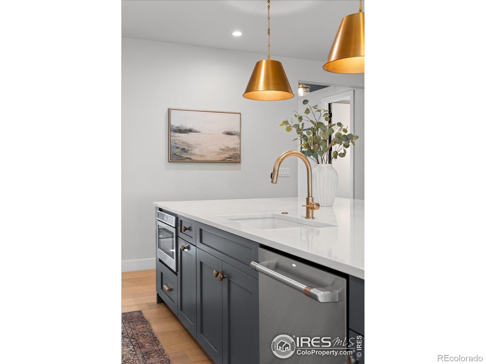 MLS Image #10 for 3256 s corona street,englewood, Colorado