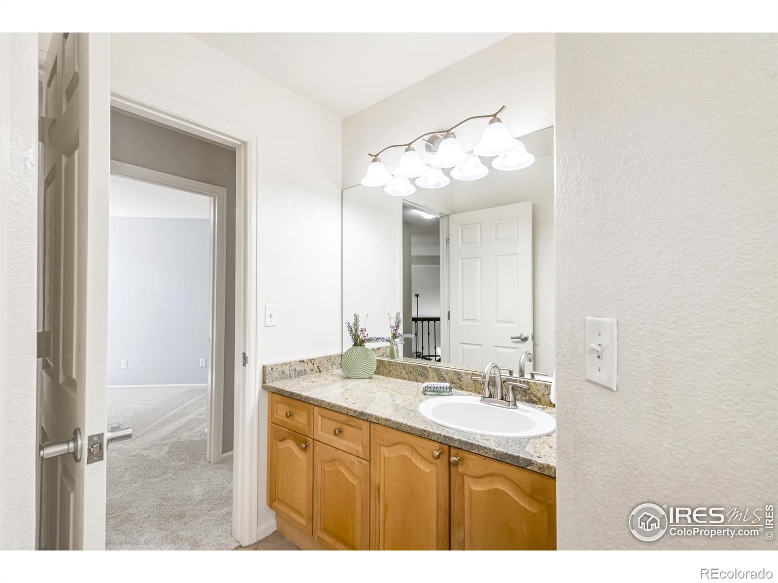 MLS Image #27 for 2933  hunt court,erie, Colorado