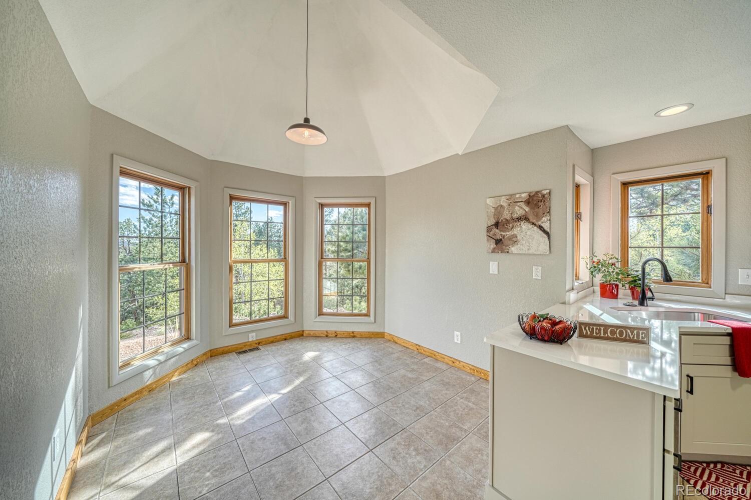 MLS Image #10 for 318  southgate road,florissant, Colorado