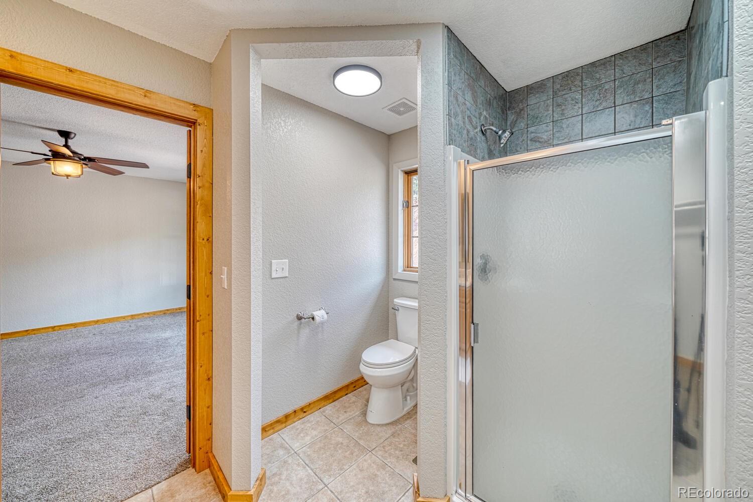 MLS Image #20 for 318  southgate road,florissant, Colorado