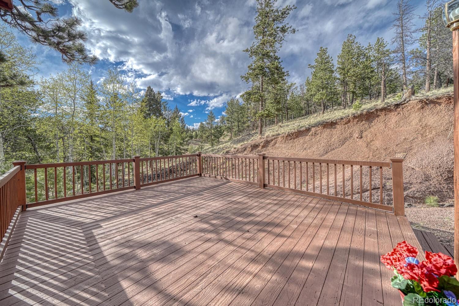 MLS Image #27 for 318  southgate road,florissant, Colorado