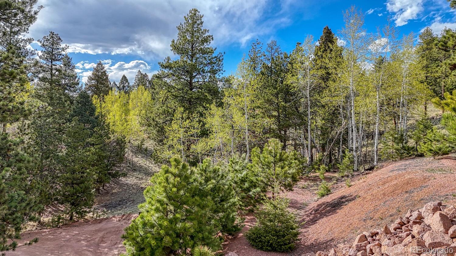 MLS Image #40 for 318  southgate road,florissant, Colorado