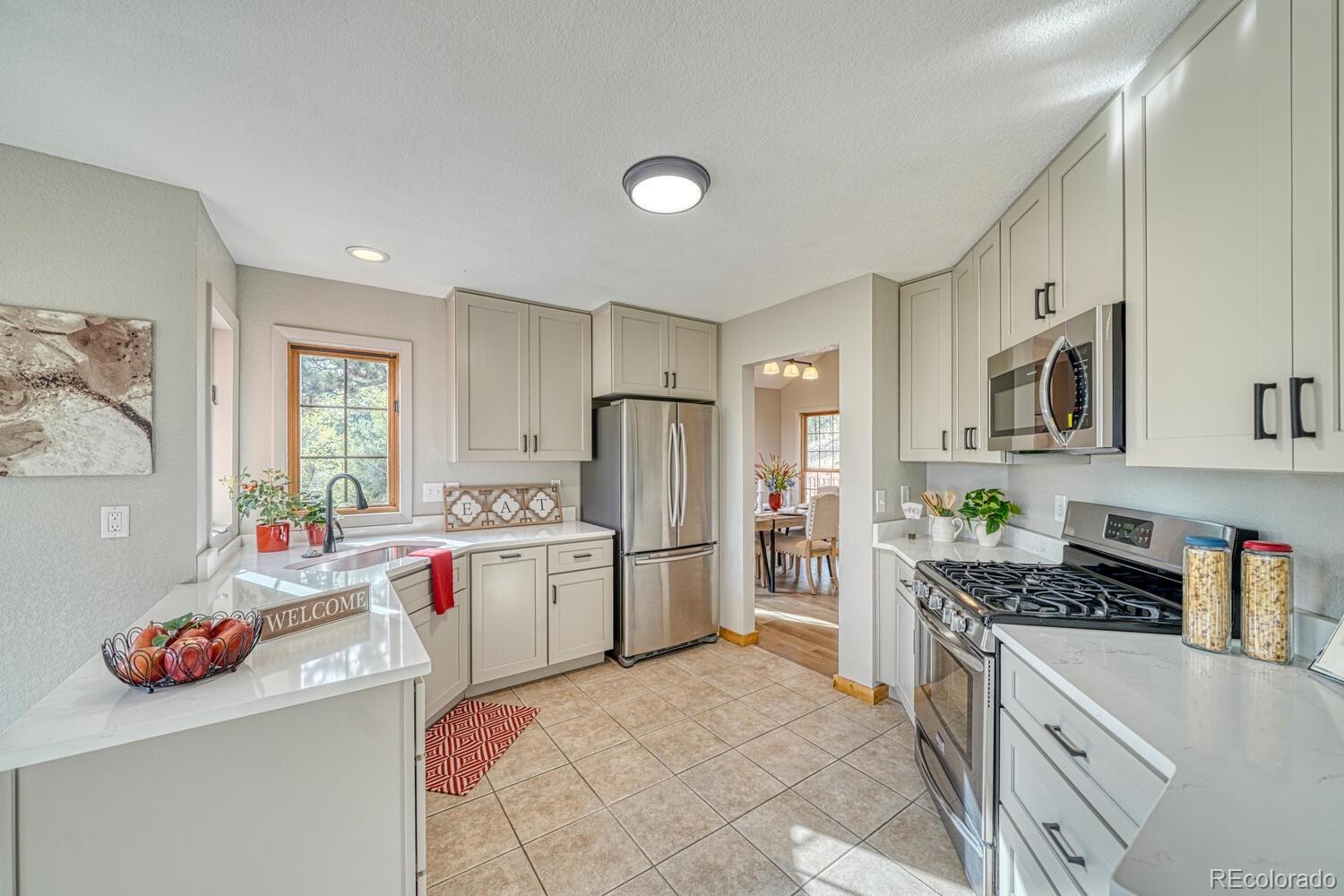 MLS Image #7 for 318  southgate road,florissant, Colorado