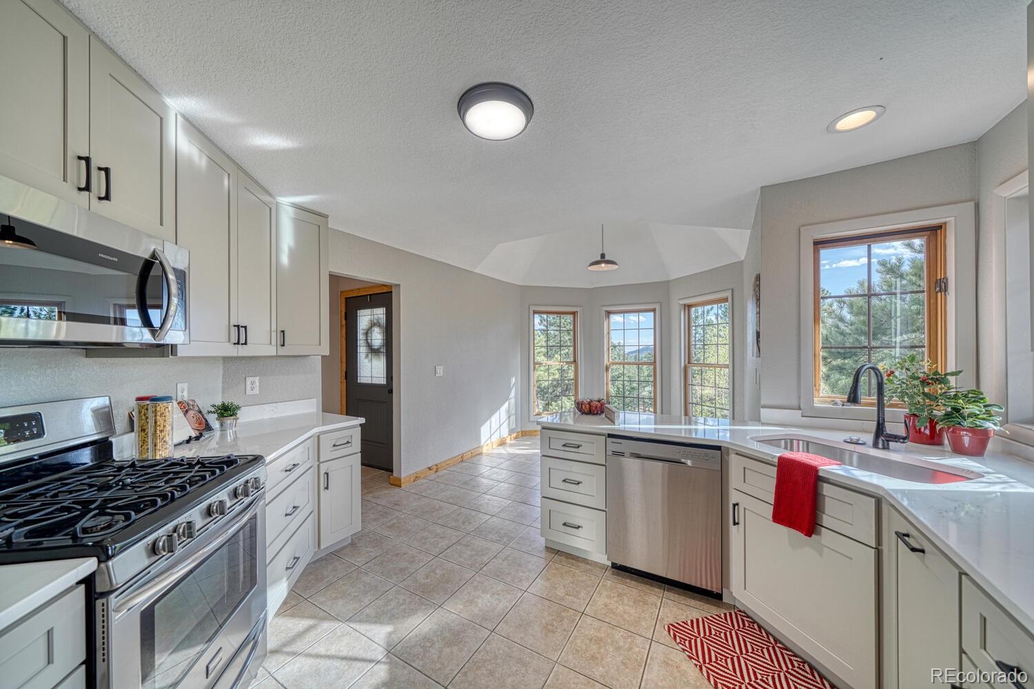 MLS Image #8 for 318  southgate road,florissant, Colorado