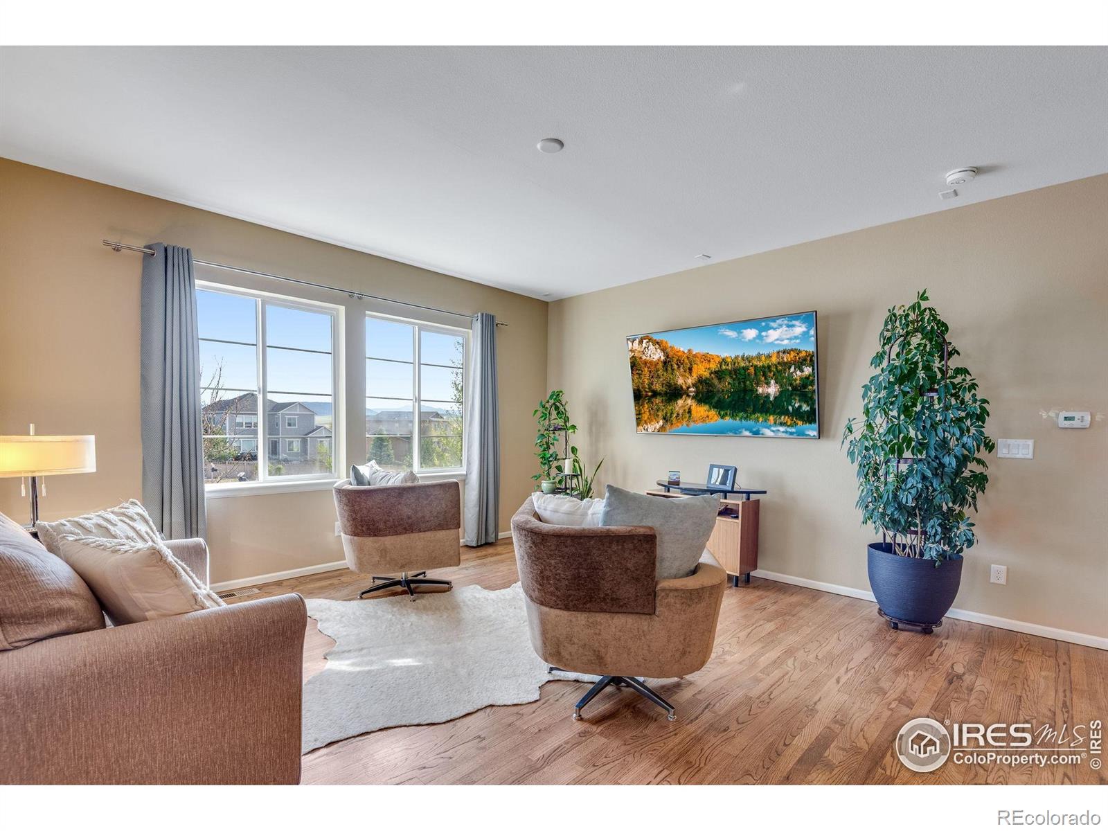 MLS Image #19 for 4000  donnington circle,castle rock, Colorado
