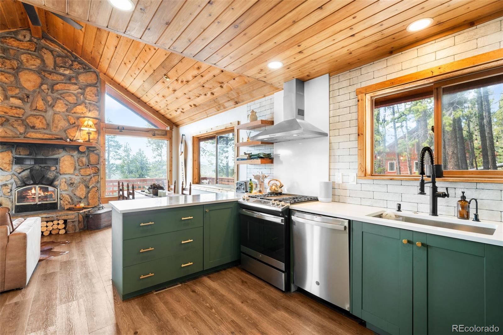 MLS Image #11 for 489  harris drive,idaho springs, Colorado