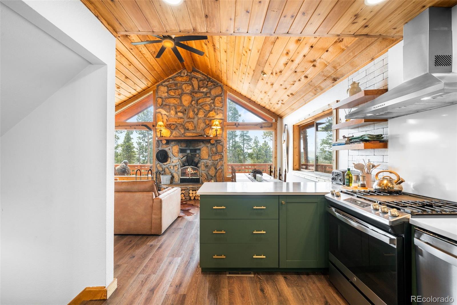 MLS Image #12 for 489  harris drive,idaho springs, Colorado
