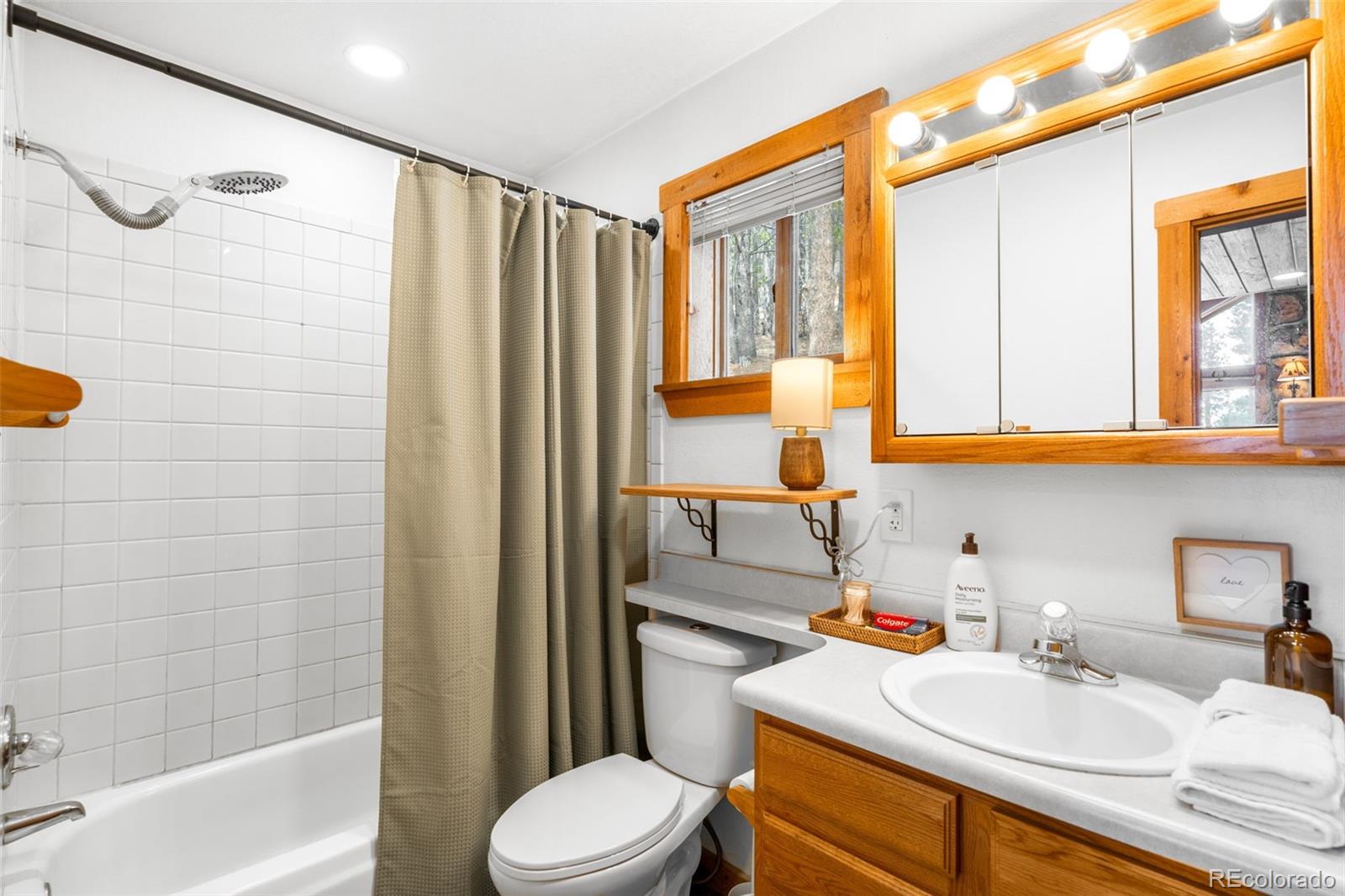 MLS Image #16 for 489  harris drive,idaho springs, Colorado