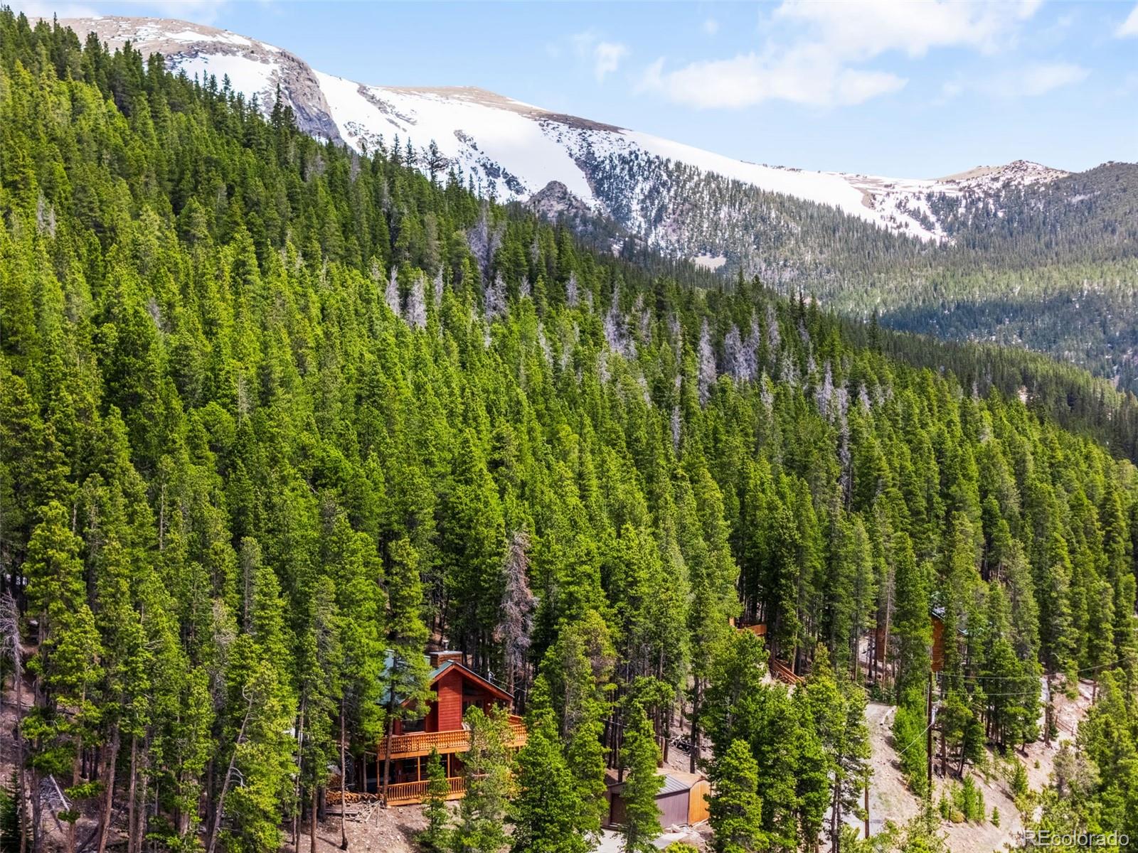 MLS Image #3 for 489  harris drive,idaho springs, Colorado