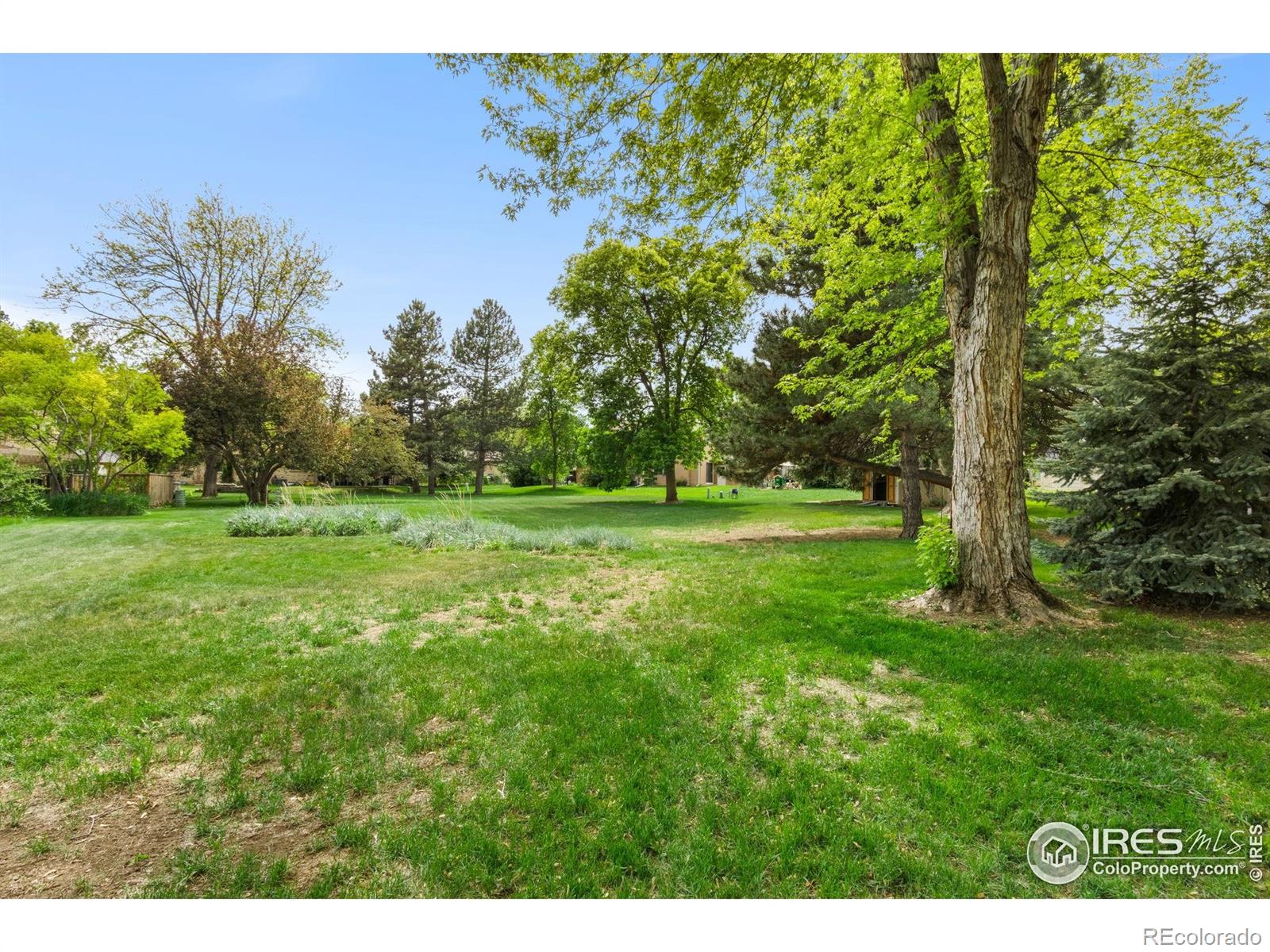 MLS Image #9 for 2701  stover street,fort collins, Colorado