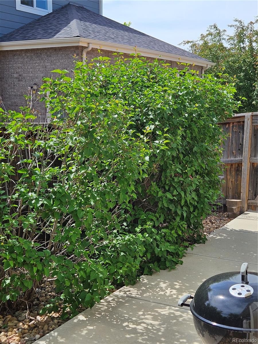 MLS Image #31 for 20058 e dartmouth drive,aurora, Colorado