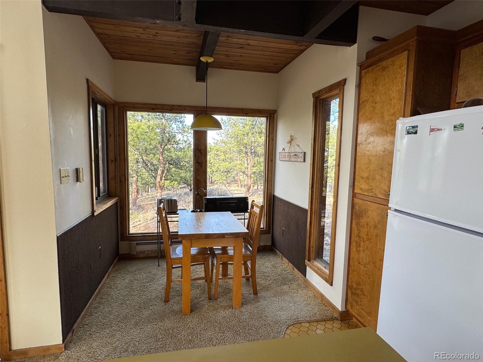 MLS Image #10 for 14320  county road 261h ,nathrop, Colorado