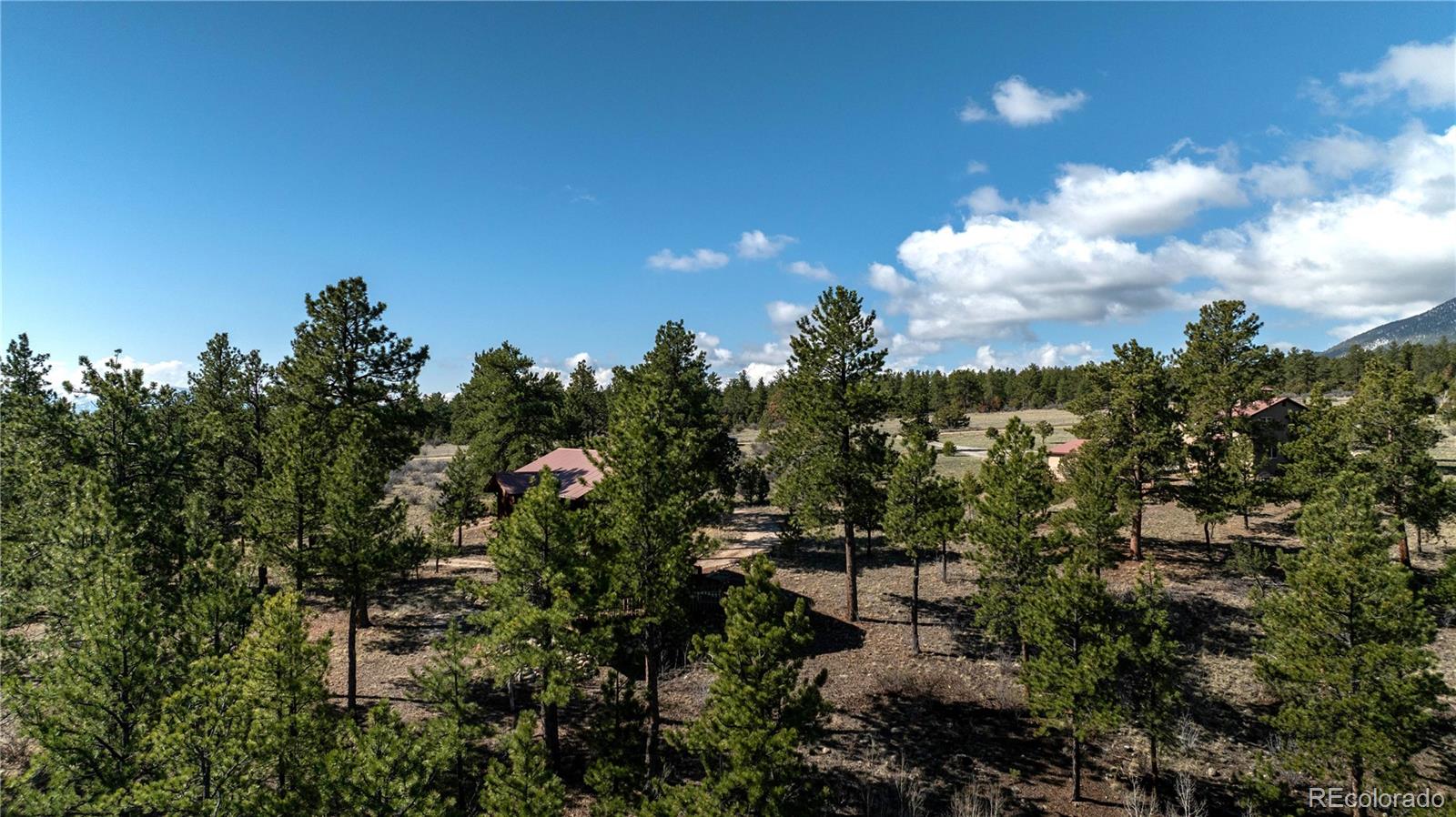 MLS Image #4 for 14320  county road 261h ,nathrop, Colorado