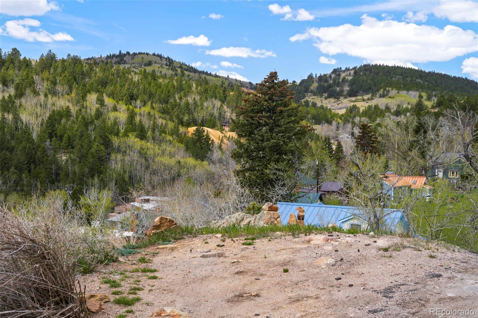 MLS Image #12 for 424  saint james street,central city, Colorado