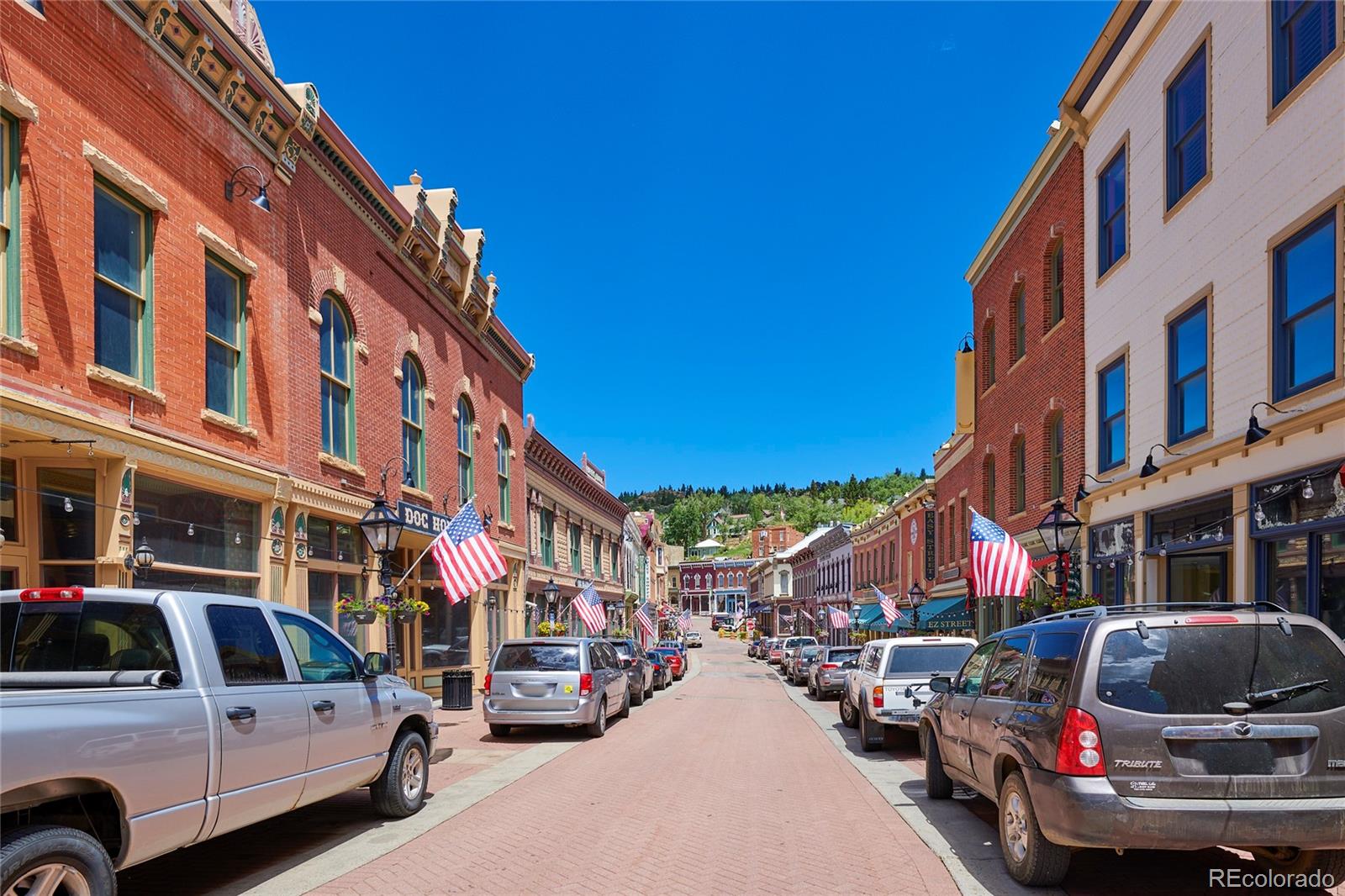 MLS Image #22 for 424  saint james street,central city, Colorado