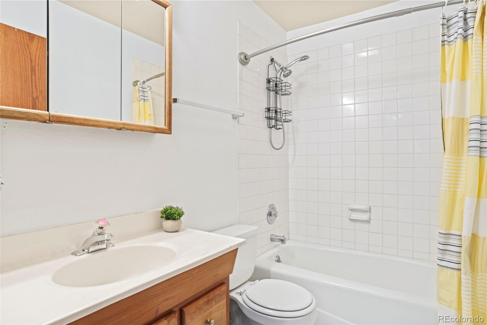 MLS Image #7 for 424  saint james street,central city, Colorado