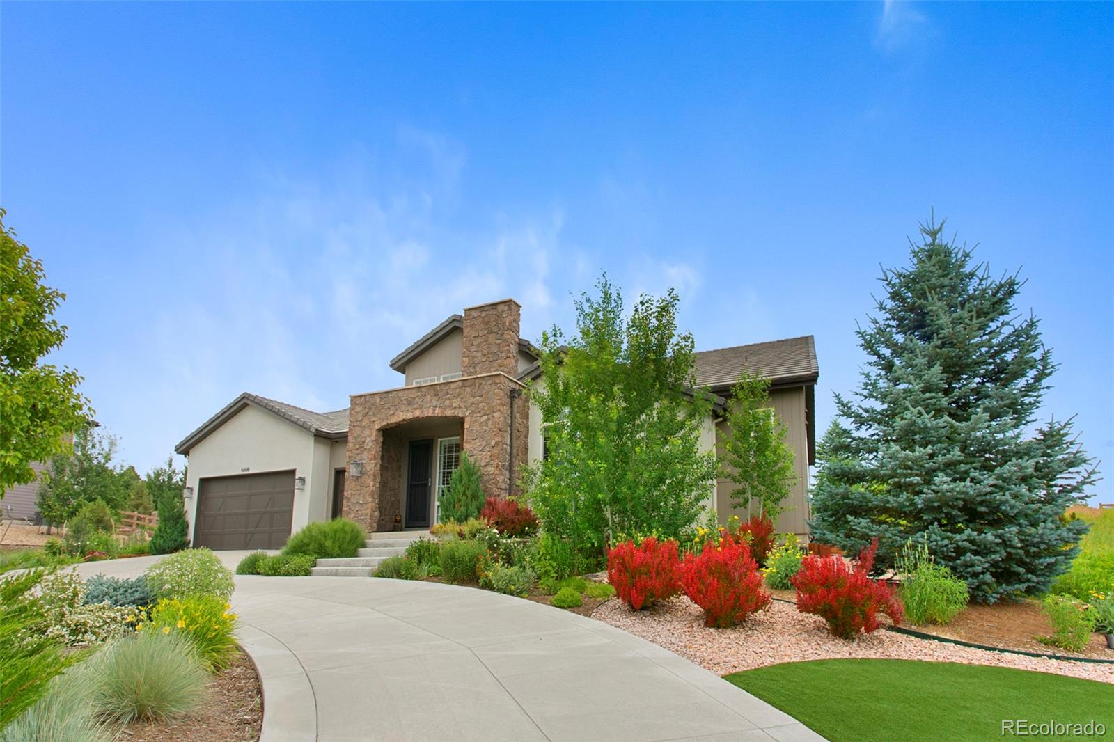 MLS Image #3 for 5608  raintree drive,parker, Colorado