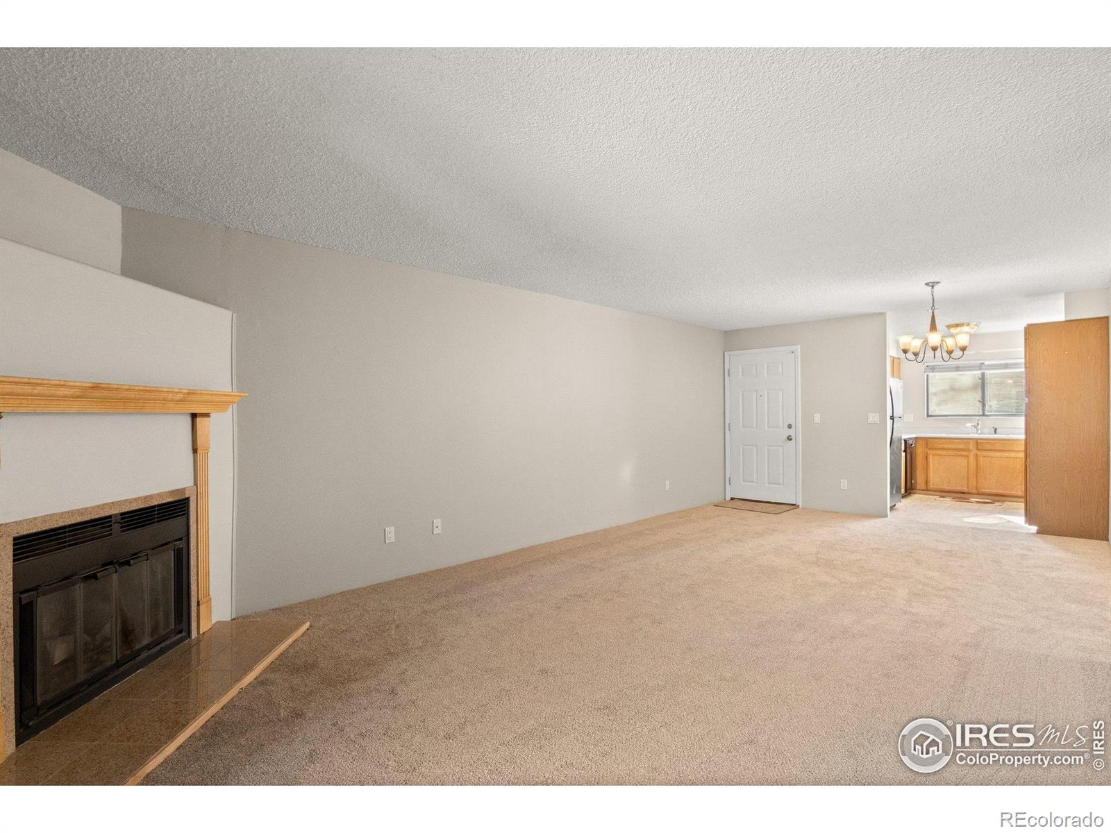 MLS Image #12 for 316  wright street,lakewood, Colorado