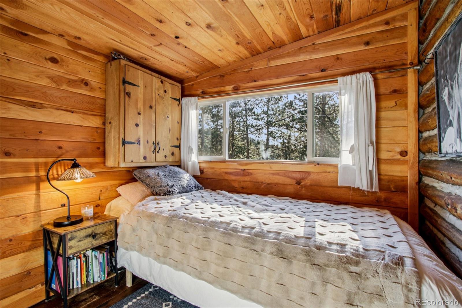 MLS Image #16 for 5582  santa clara road,indian hills, Colorado