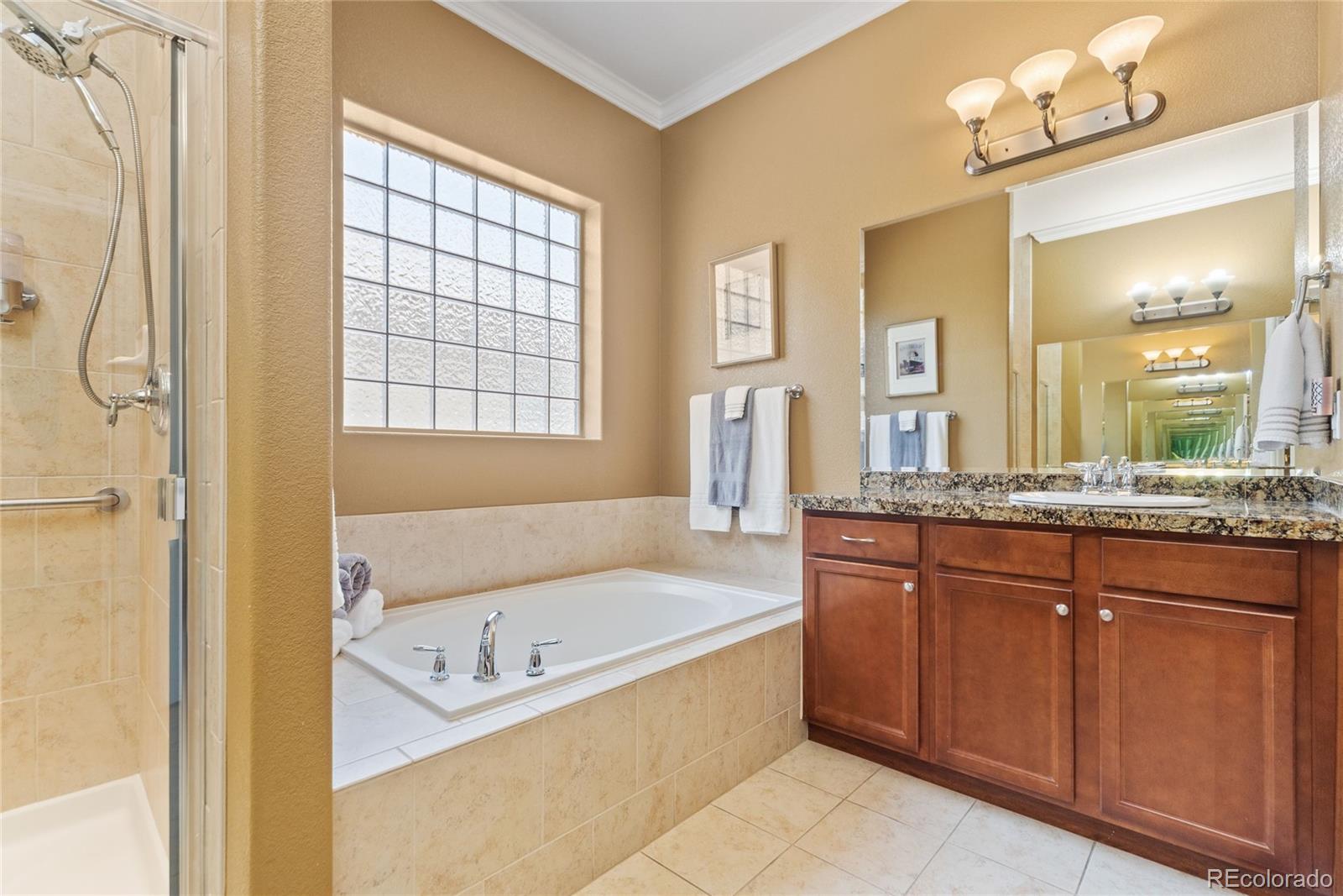 MLS Image #13 for 10182  bristleridge street,parker, Colorado