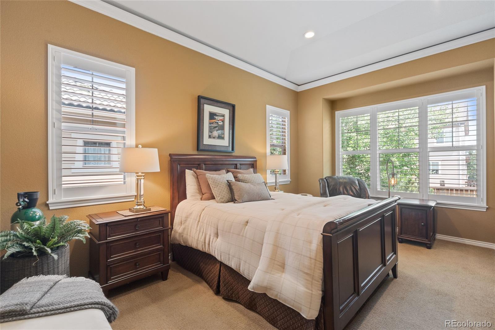 MLS Image #14 for 10182  bristleridge street,parker, Colorado