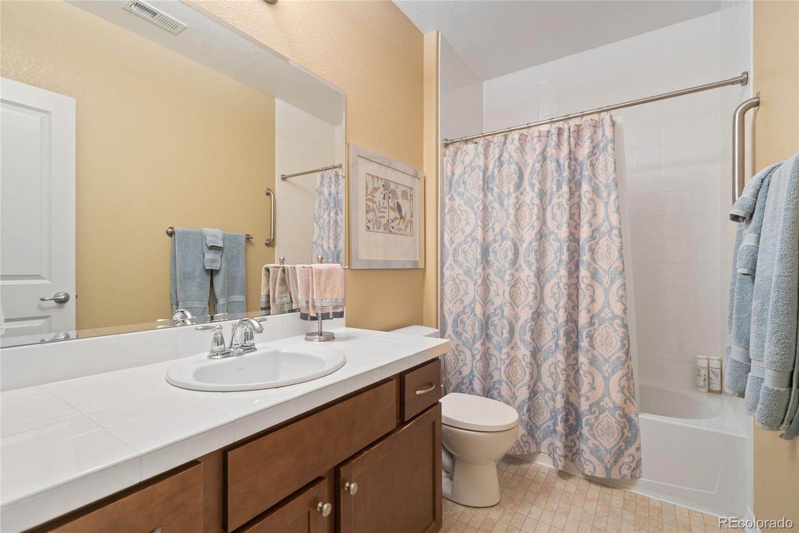 MLS Image #21 for 10182  bristleridge street,parker, Colorado