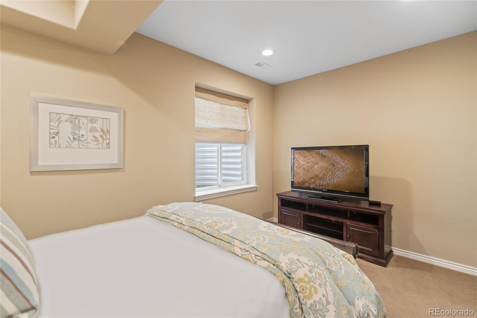 MLS Image #22 for 10182  bristleridge street,parker, Colorado