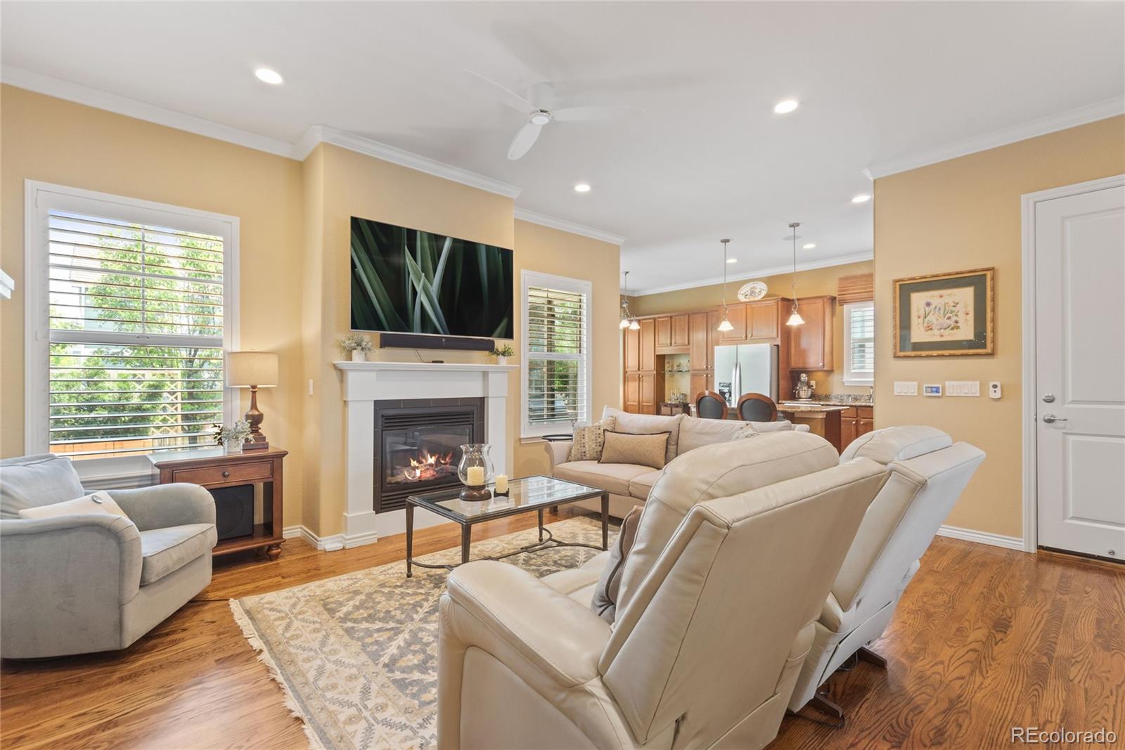 MLS Image #3 for 10182  bristleridge street,parker, Colorado