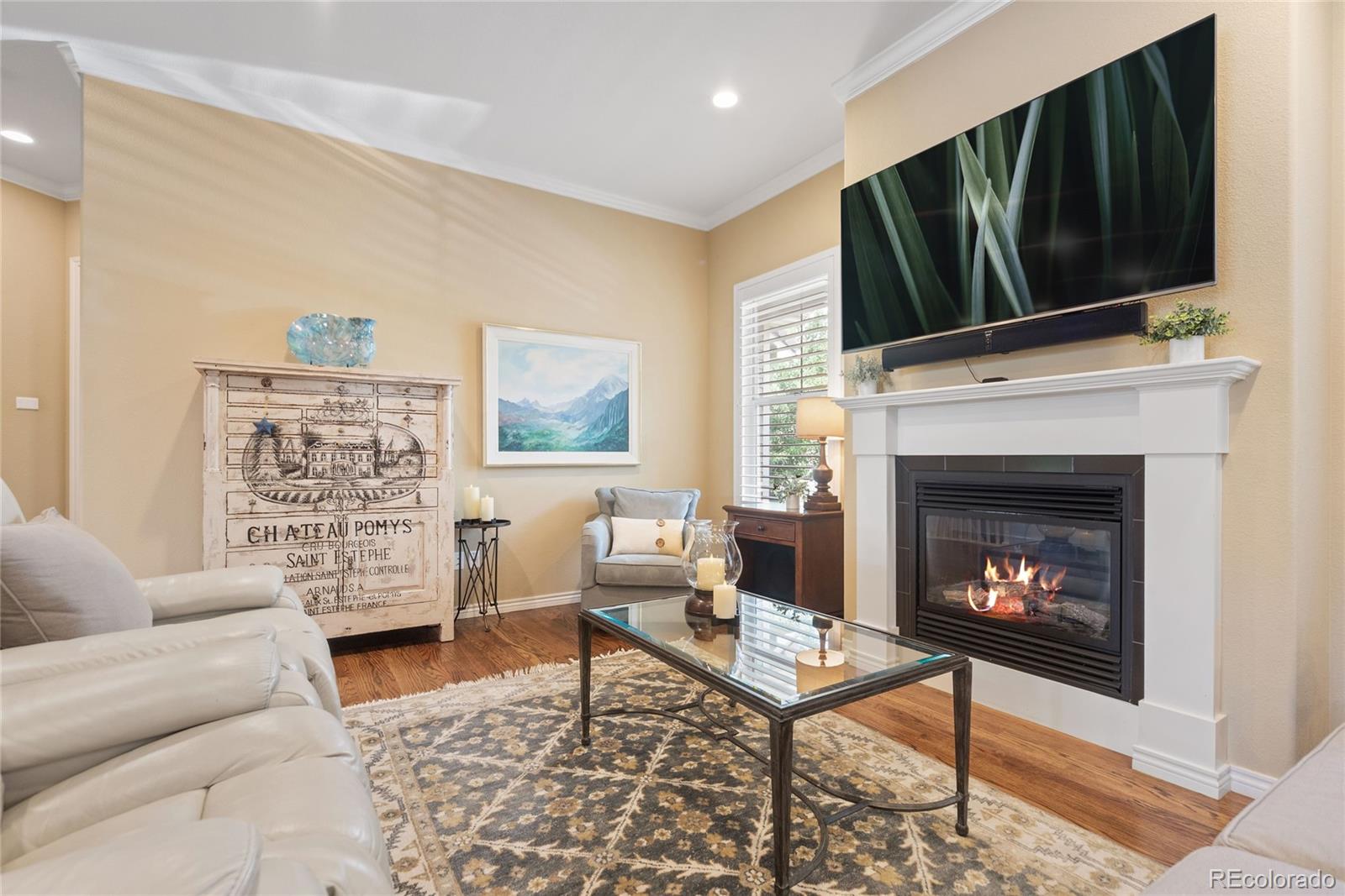 MLS Image #4 for 10182  bristleridge street,parker, Colorado