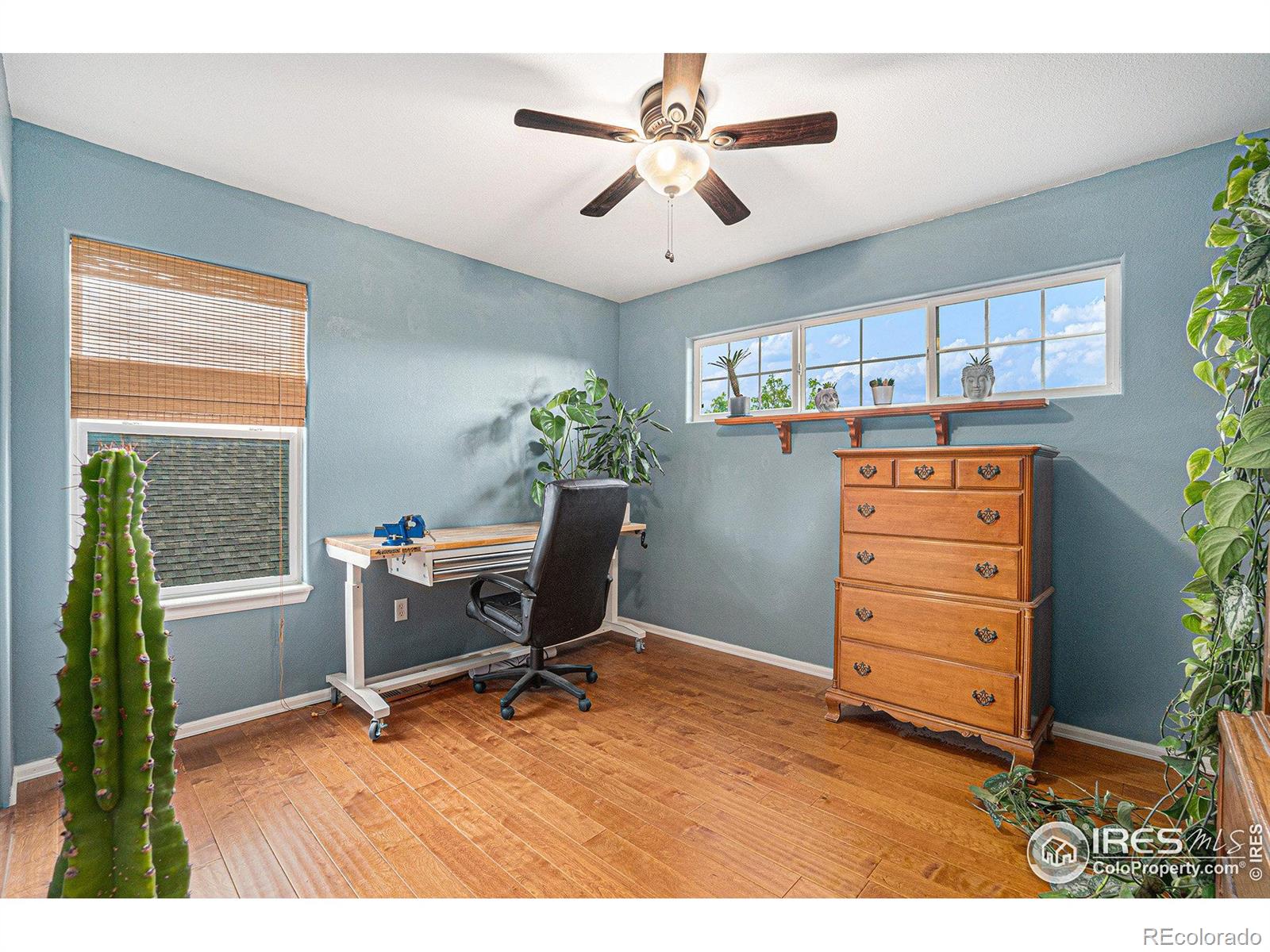 MLS Image #16 for 2502  ballard lane,fort collins, Colorado