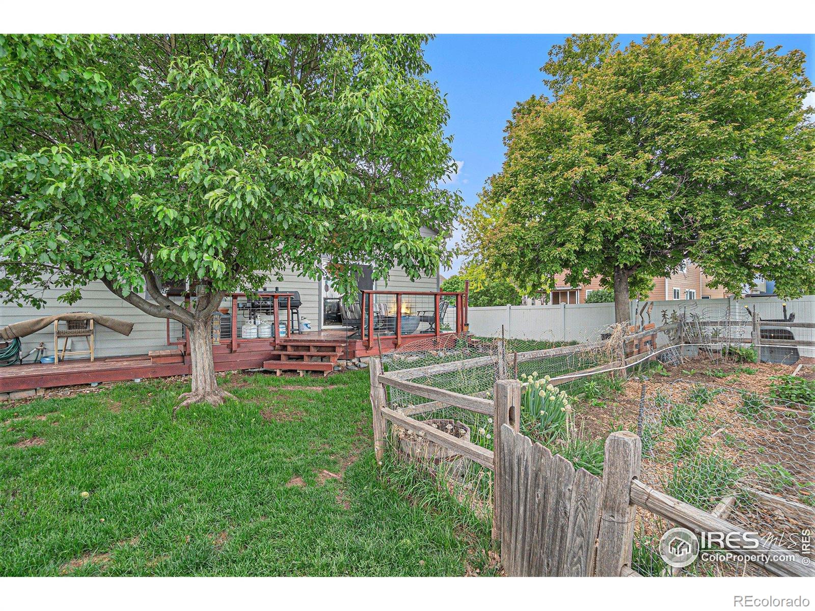 MLS Image #17 for 2502  ballard lane,fort collins, Colorado