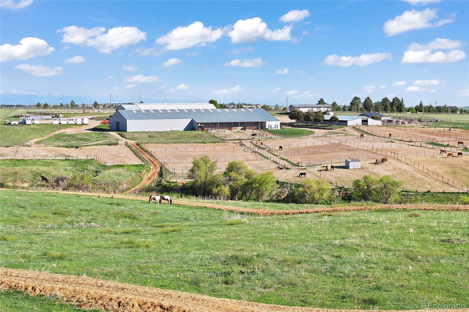MLS Image #6 for 1705  outter marker road,castle rock, Colorado