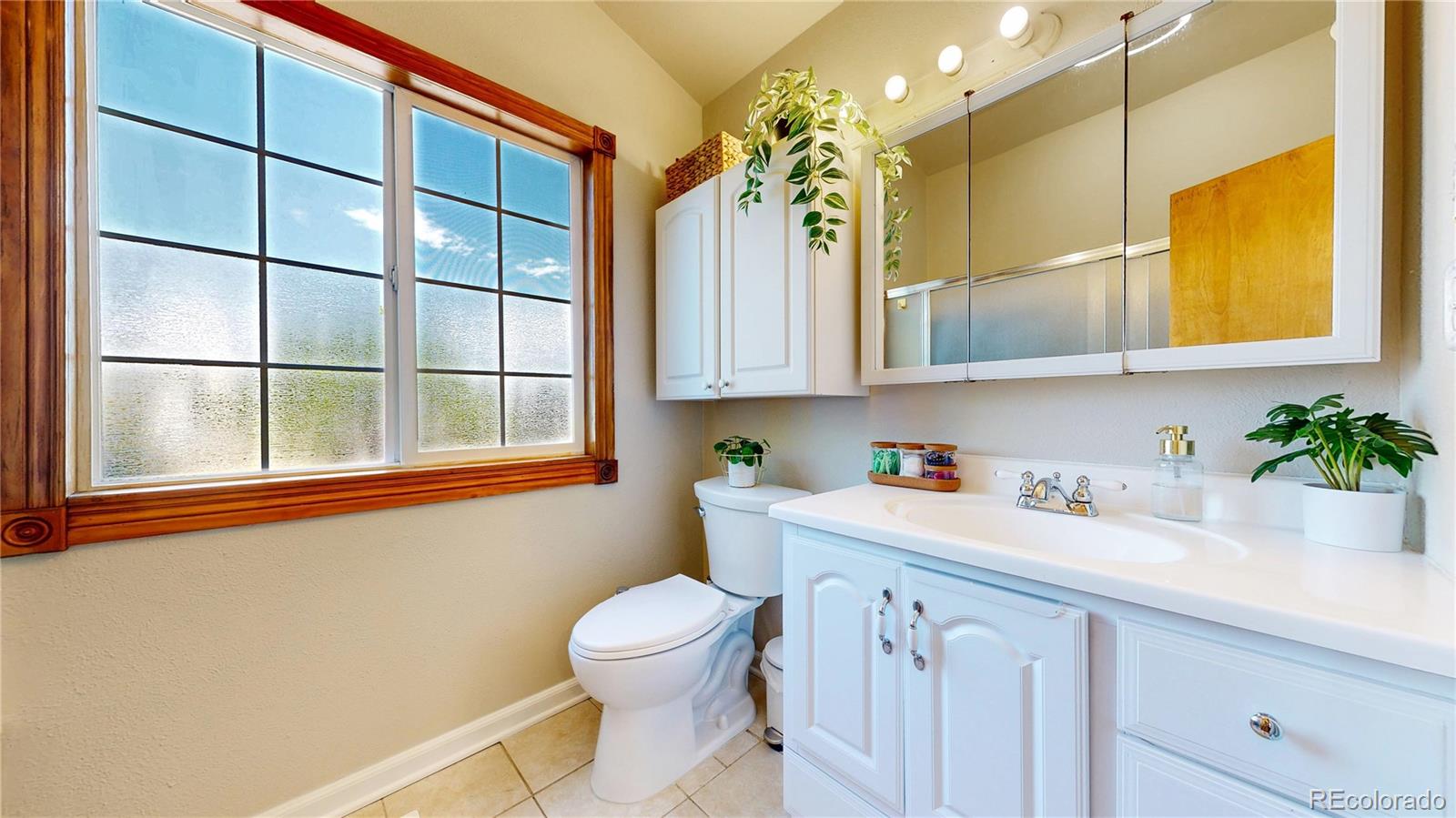 MLS Image #20 for 10635  dexter drive,thornton, Colorado