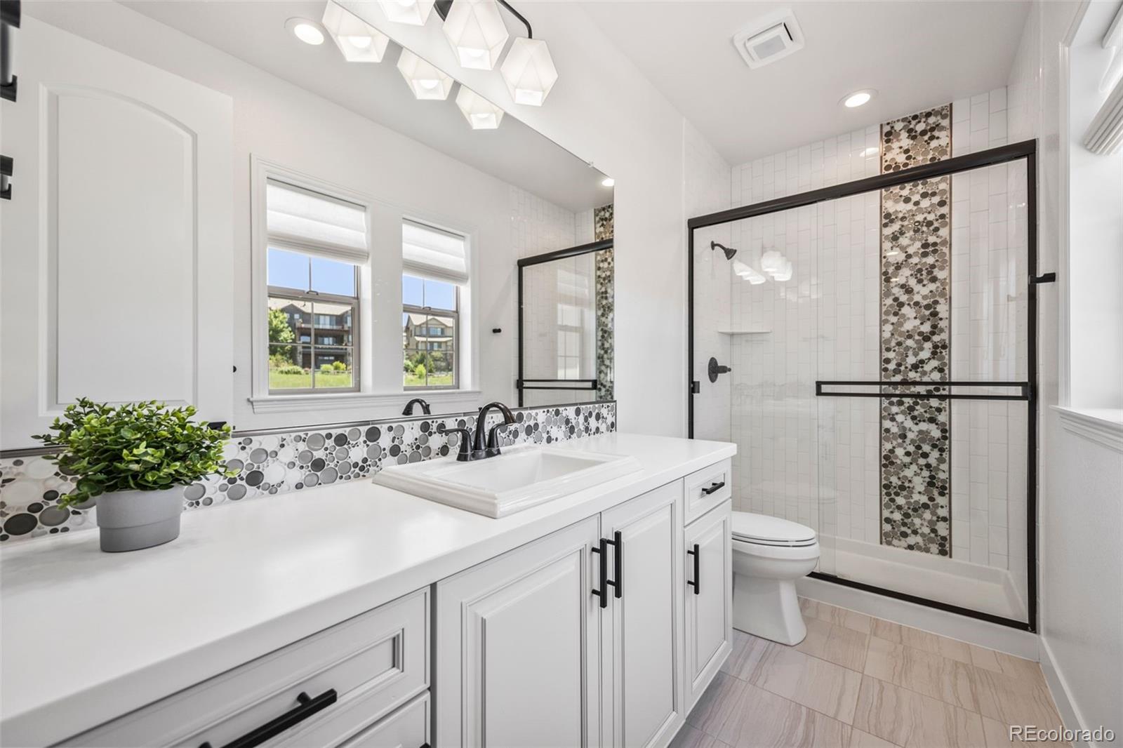 MLS Image #24 for 10757  timberdash avenue,highlands ranch, Colorado