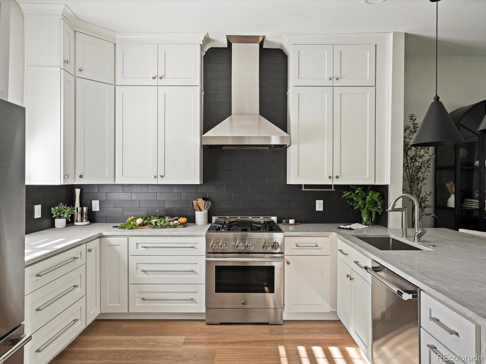MLS Image #6 for 3339  lowell boulevard,denver, Colorado