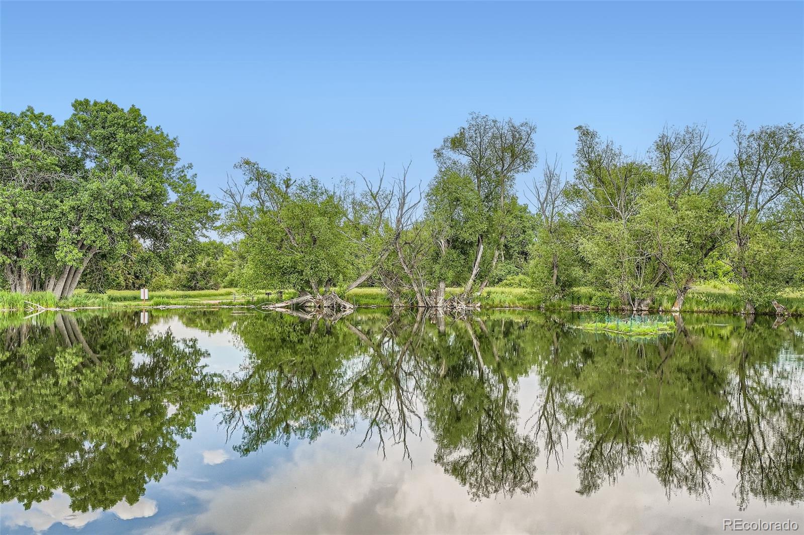 MLS Image #31 for 8795 w cornell avenue,lakewood, Colorado