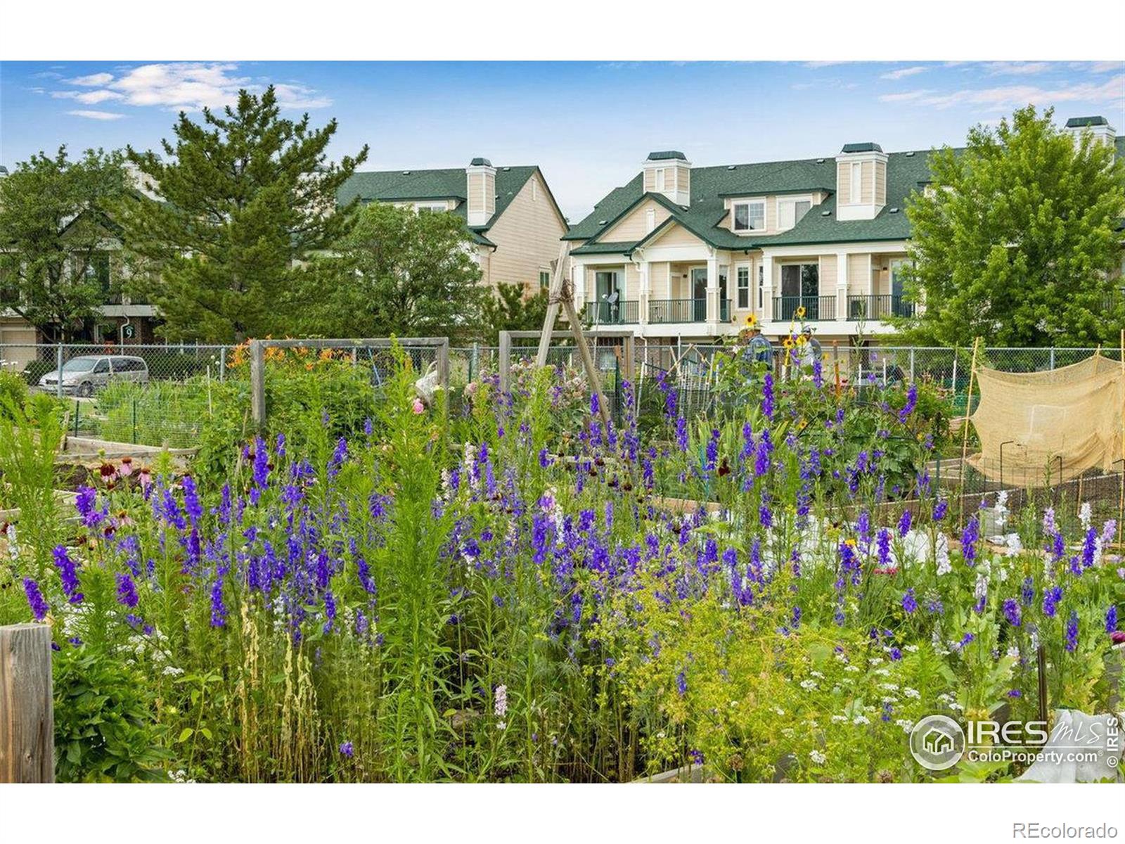 MLS Image #21 for 1837  spaulding circle,superior, Colorado