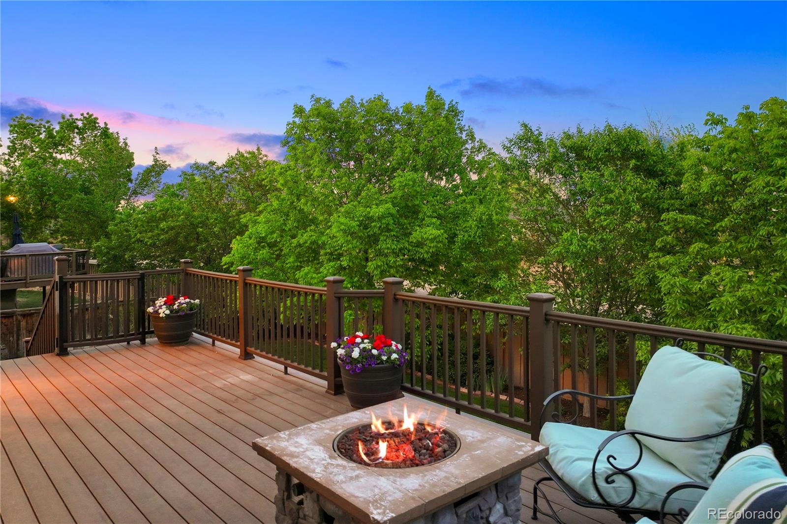 MLS Image #17 for 9810  townsville circle,highlands ranch, Colorado