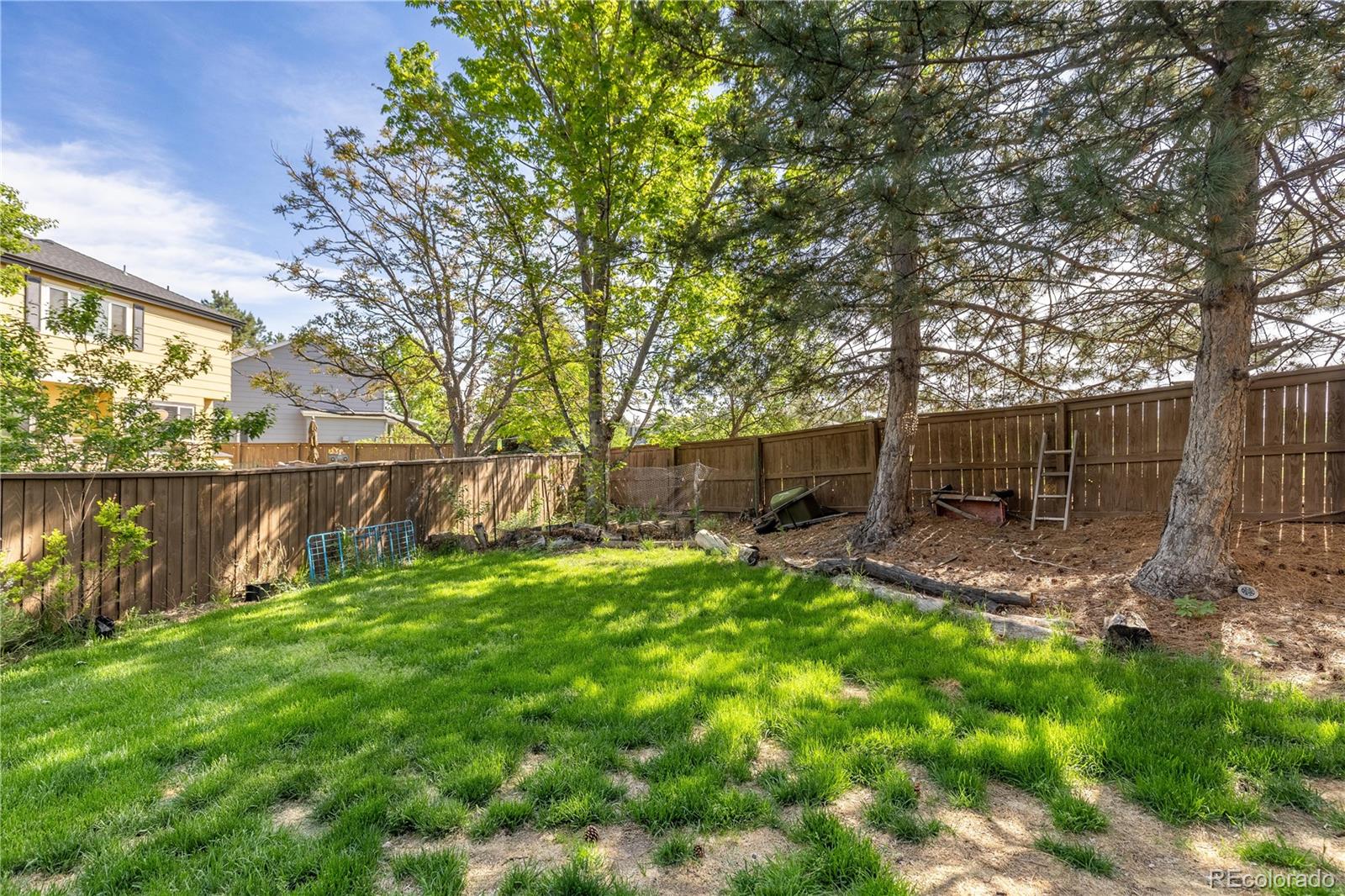 MLS Image #36 for 2043  fendlebrush street,highlands ranch, Colorado