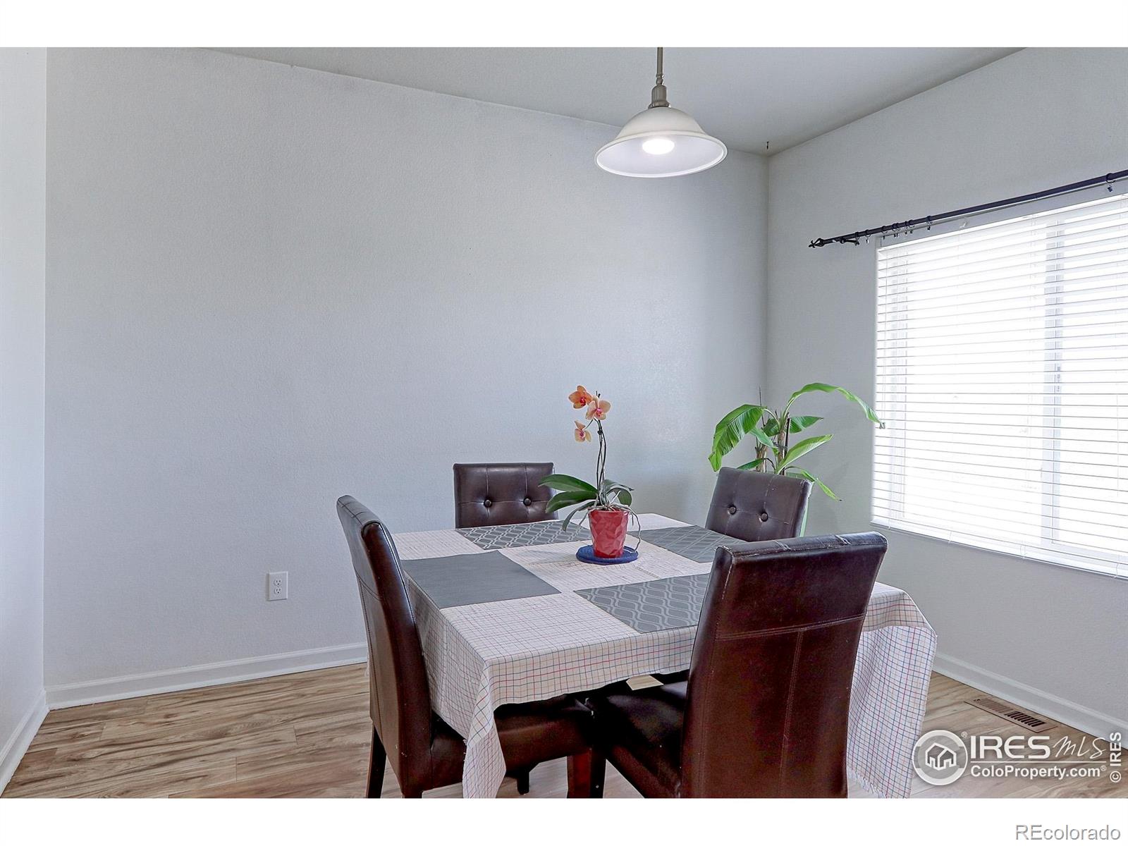 MLS Image #6 for 5681  legacy parkway,dacono, Colorado