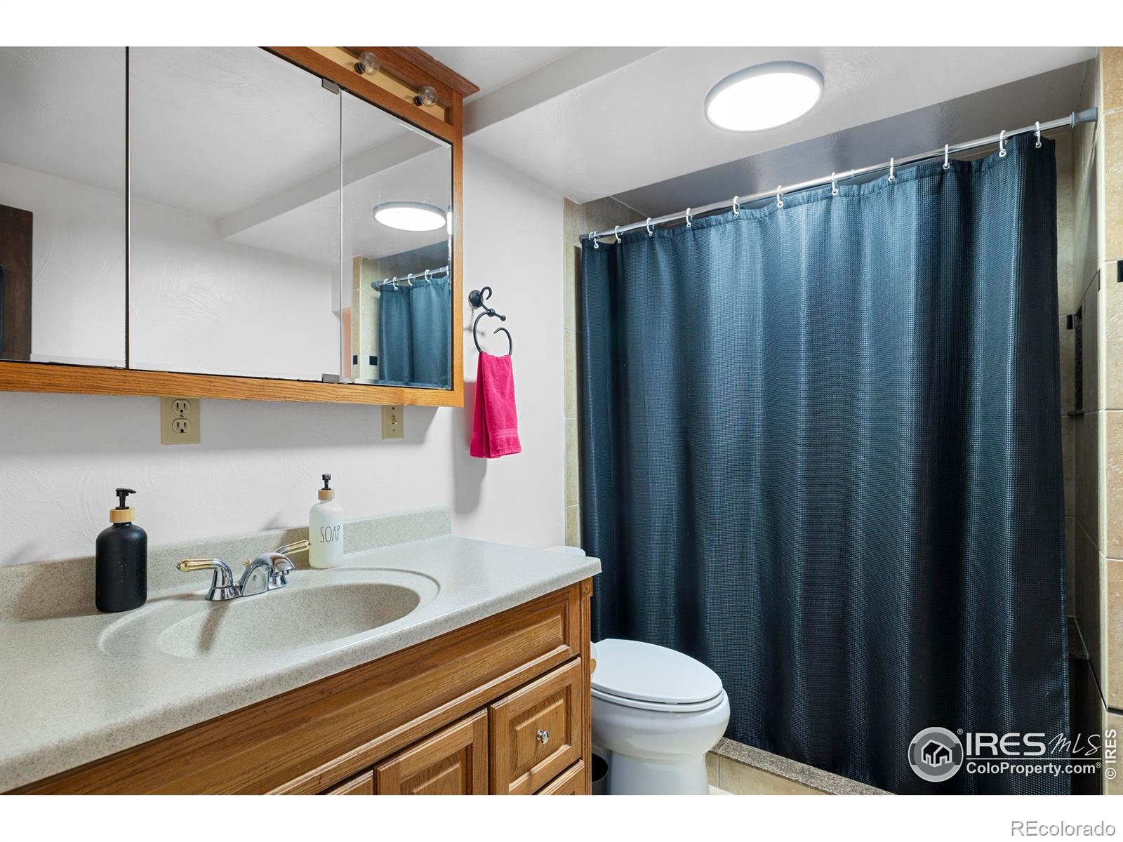 MLS Image #20 for 1234 s holland court,lakewood, Colorado