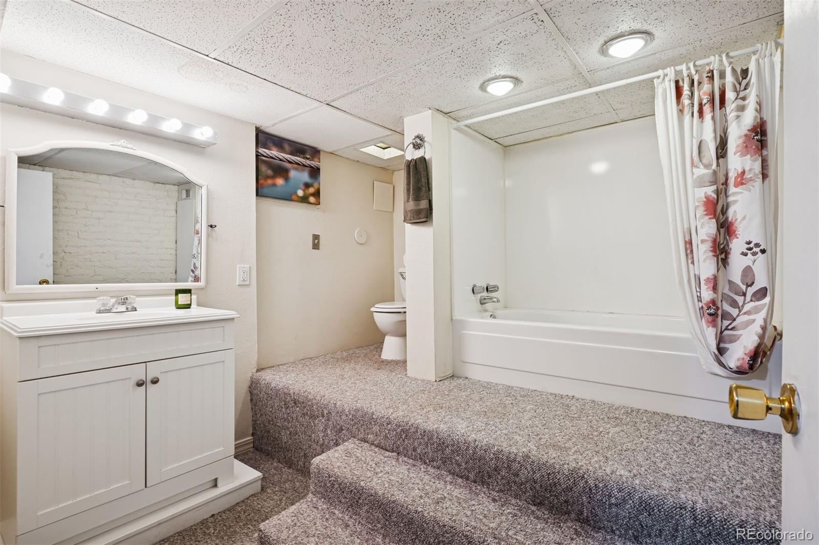 MLS Image #29 for 1007 n ogden street,denver, Colorado
