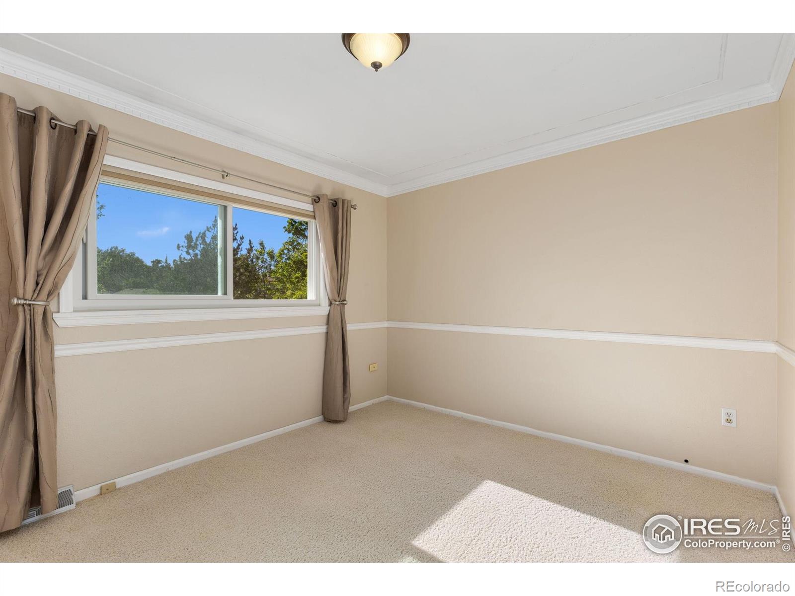 MLS Image #15 for 1513  elmhurst drive,longmont, Colorado