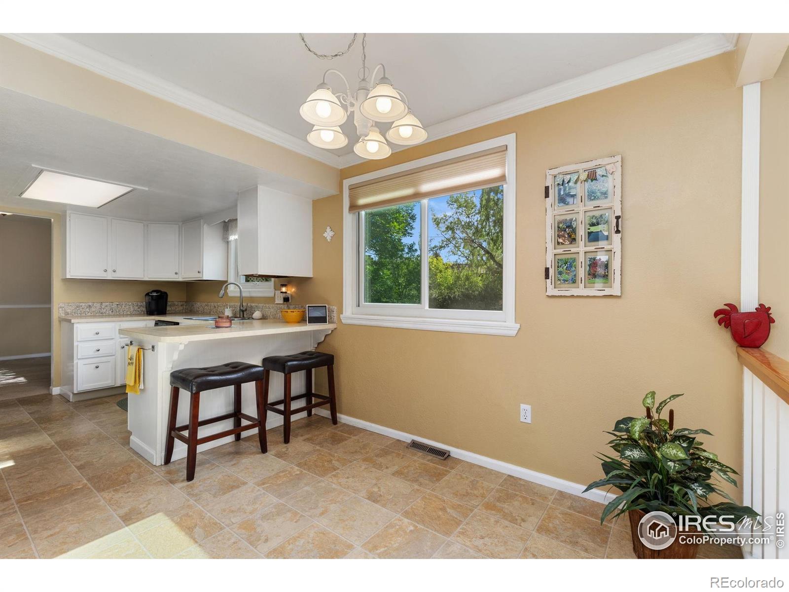 MLS Image #8 for 1513  elmhurst drive,longmont, Colorado