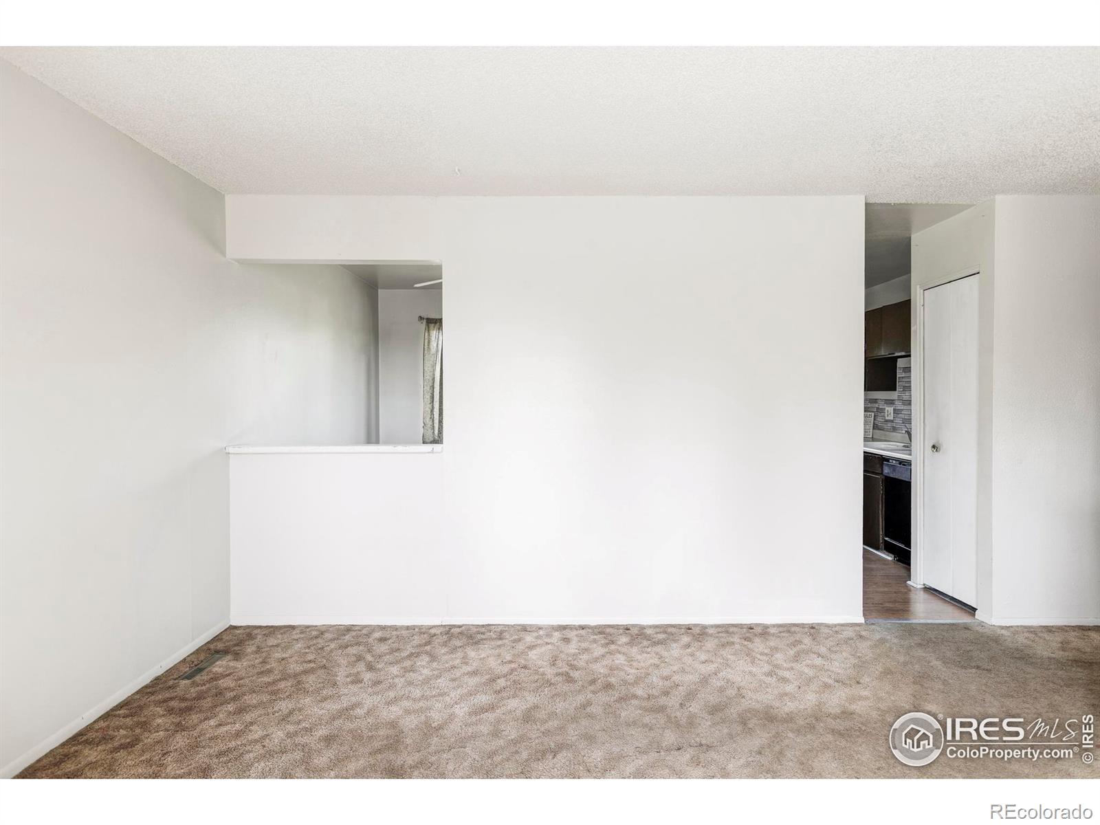 MLS Image #6 for 8125  downing street,denver, Colorado