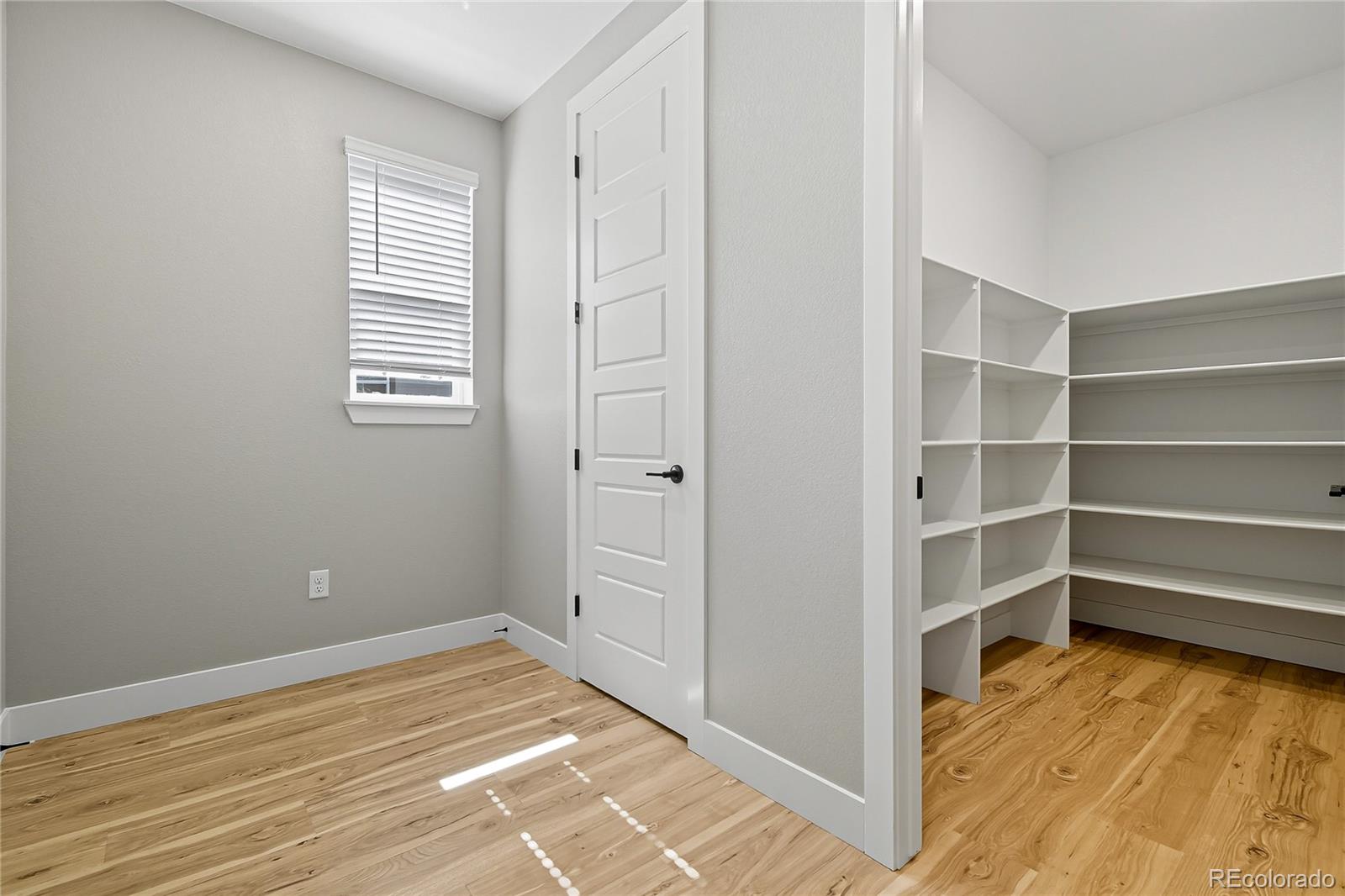 MLS Image #15 for 5591  farrier point,castle rock, Colorado