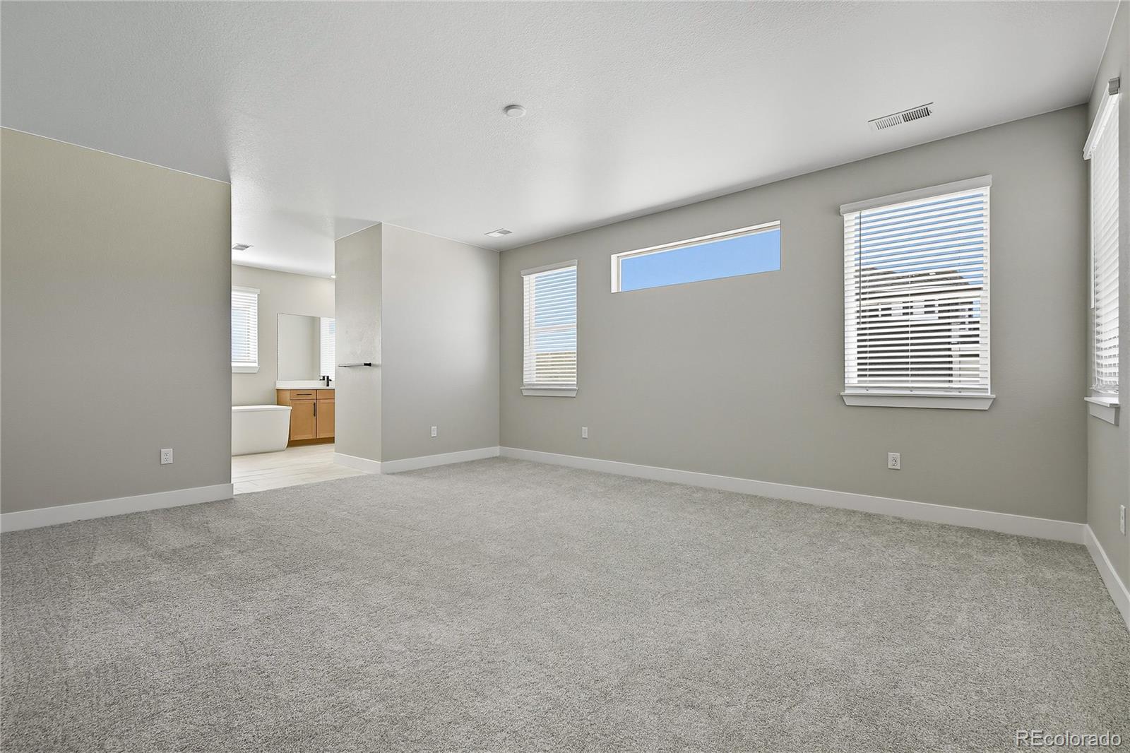 MLS Image #20 for 5591  farrier point,castle rock, Colorado