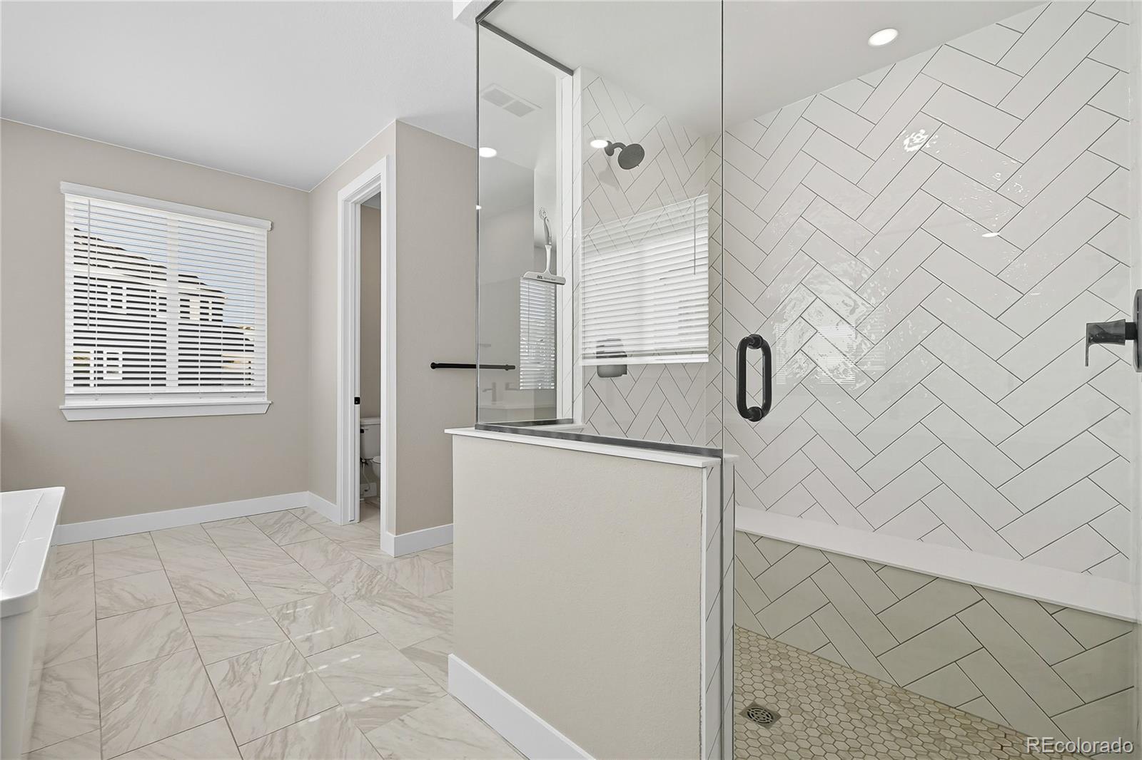MLS Image #22 for 5591  farrier point,castle rock, Colorado
